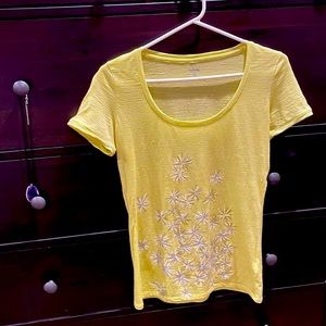 Merino wool t-shirt. Icebreaker brand. EUC. XS